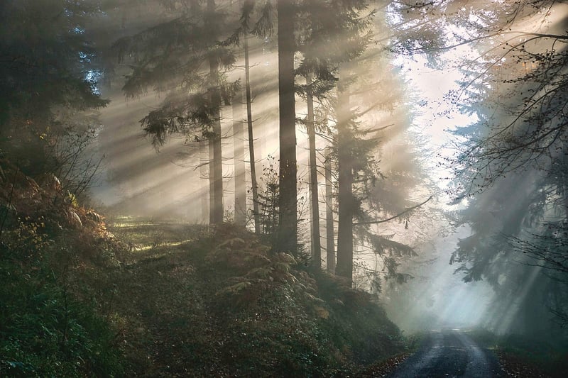 Mystical patterns