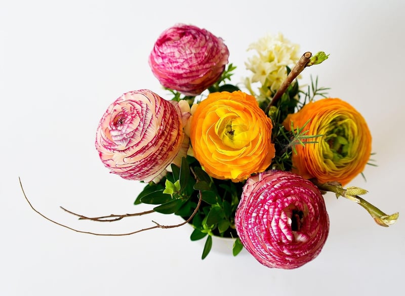 Whimsical arrangements