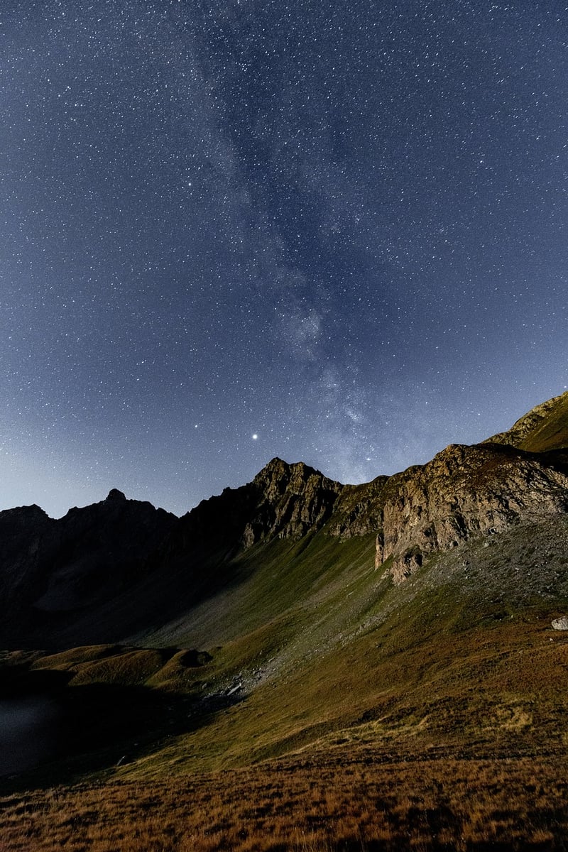 Starlit Meadows